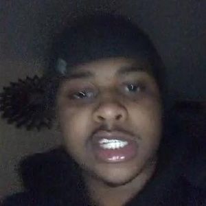 Meet your Posher, Stanley